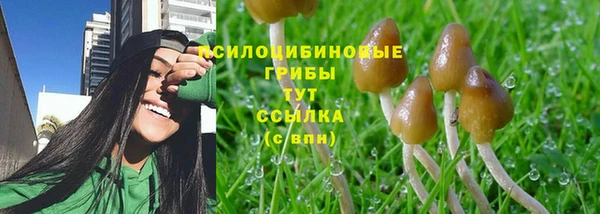 винт Каменногорск