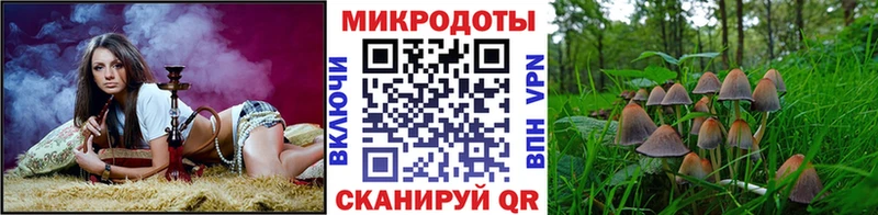 Купить  Добрянка  Псилоцибиновые грибы ЛСД 