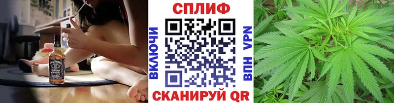 Шишки марихуана MAZAR  Купить где  Добрянка 